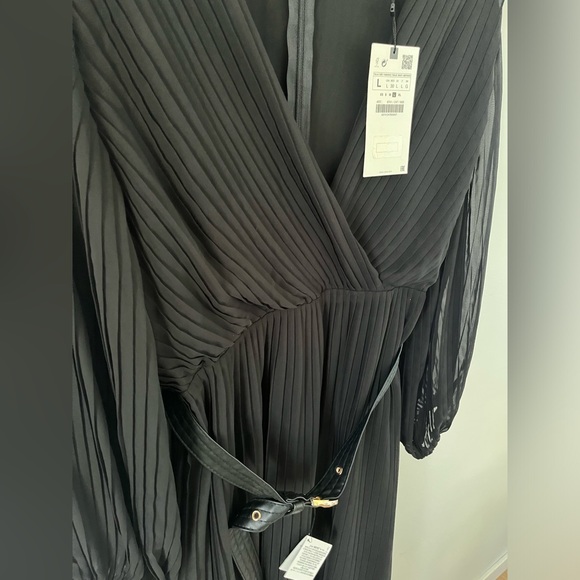 Pleated Zara Dress - Picture 7 of 7